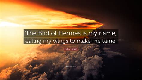 i am the bird of hermes|i am the bird of hermes eating my own wings.